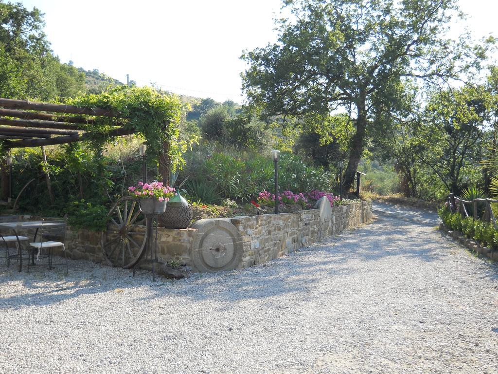 Casale San Martino Bed & Breakfast Laureana Cilento Luaran gambar